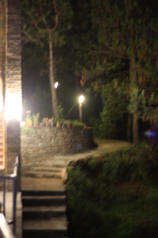 Kasar Rainbow Yoga Retreat Villa Almora Exterior photo